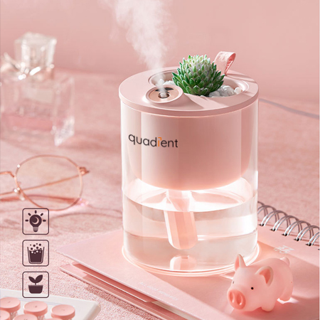 ����������ӝ���